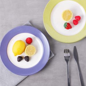 P690 主图照 (1) Swan创意简约现代蓝色绿色密胺料理23cm餐盘寿司盘摆盘西餐料理盘子